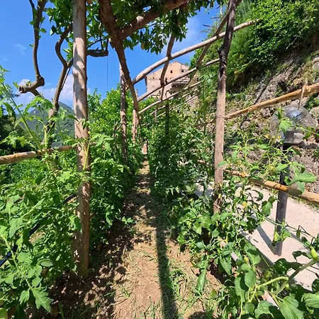 Casale Gelsi *