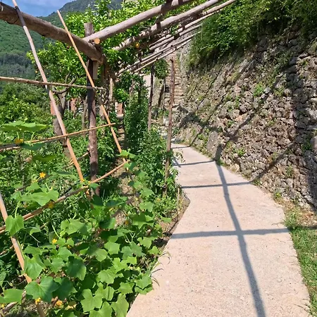 Casale Gelsi